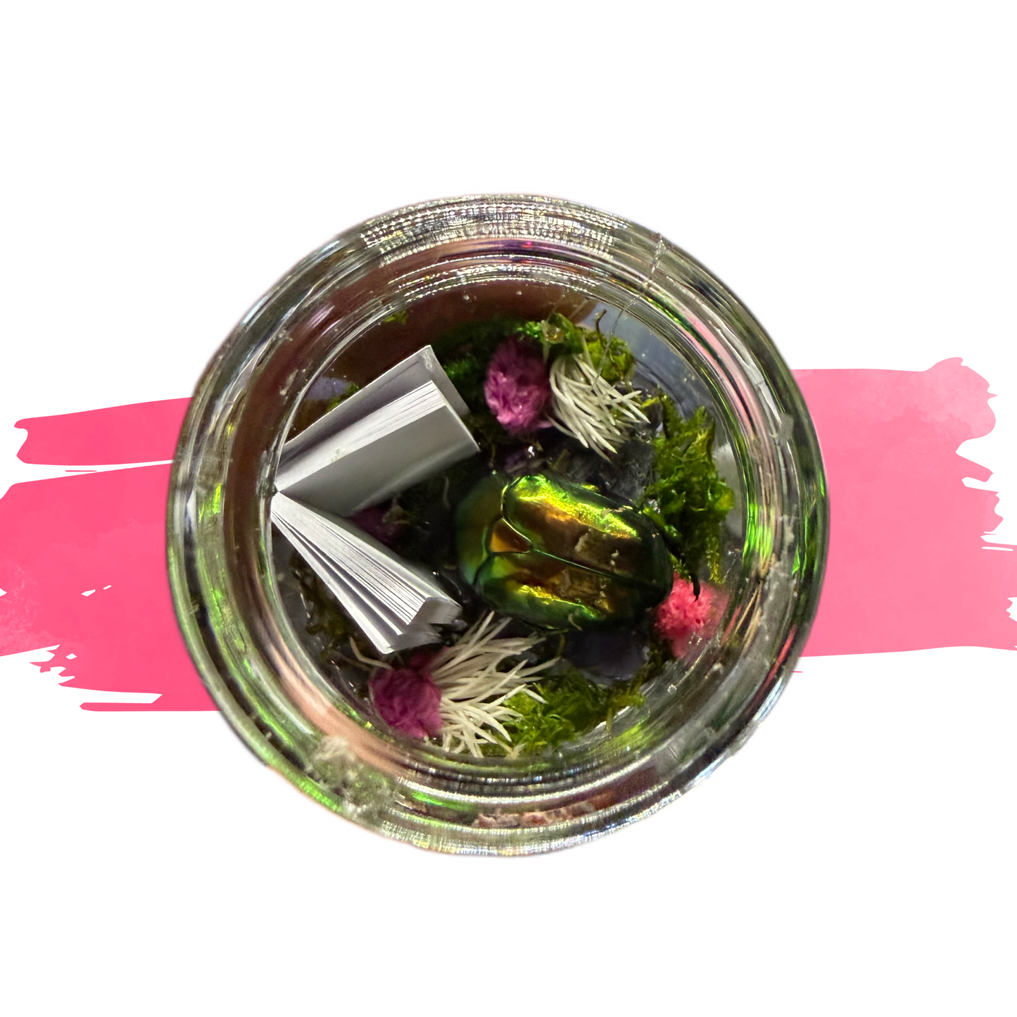 PRE-ORDER: Reading Buggy Jars