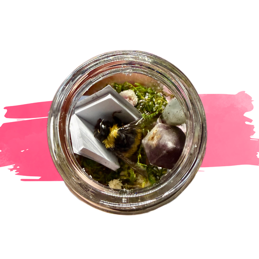 PRE-ORDER: Reading Buggy Jars